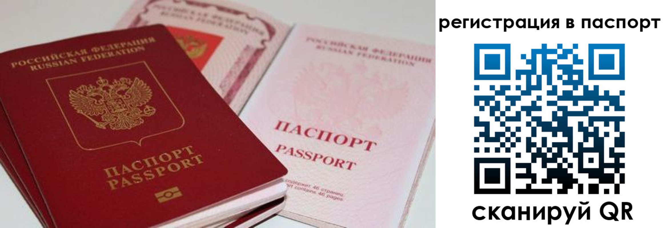 найти адрес прописки в Бердске